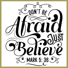 We Believe Network, LLC. tweet media