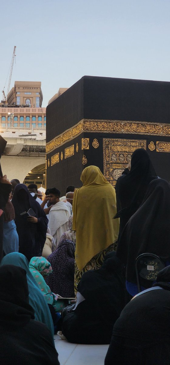 أمَل بنت سالم tweet media
