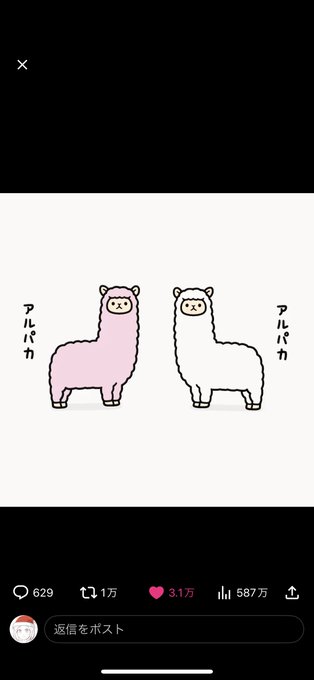 1発で成功したワァァァ⸜(*˙꒳˙*)⸝ァァァイ 