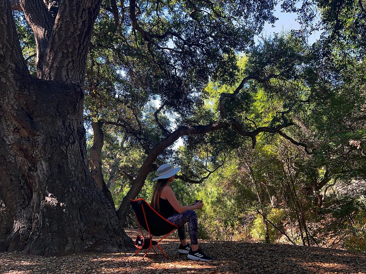 Check out my review of this Marchway Collapsible Chair on OutdoorGearTester.com 🏕️🪑