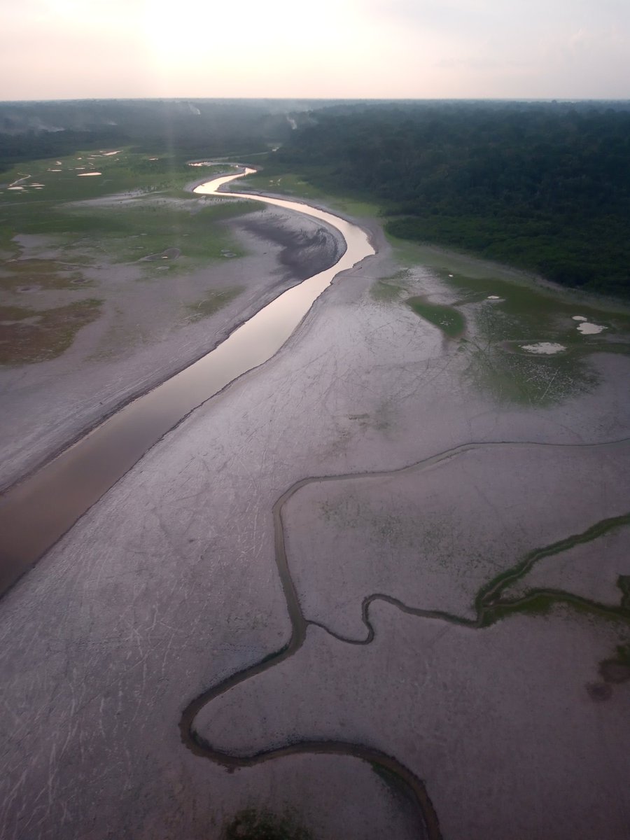 AyanFleischmann's tweet photo. Scenes of the extreme Amazon drought

October 2023.

That's been hard for people, animals and environment here. https://t.co/330RZxCqSp