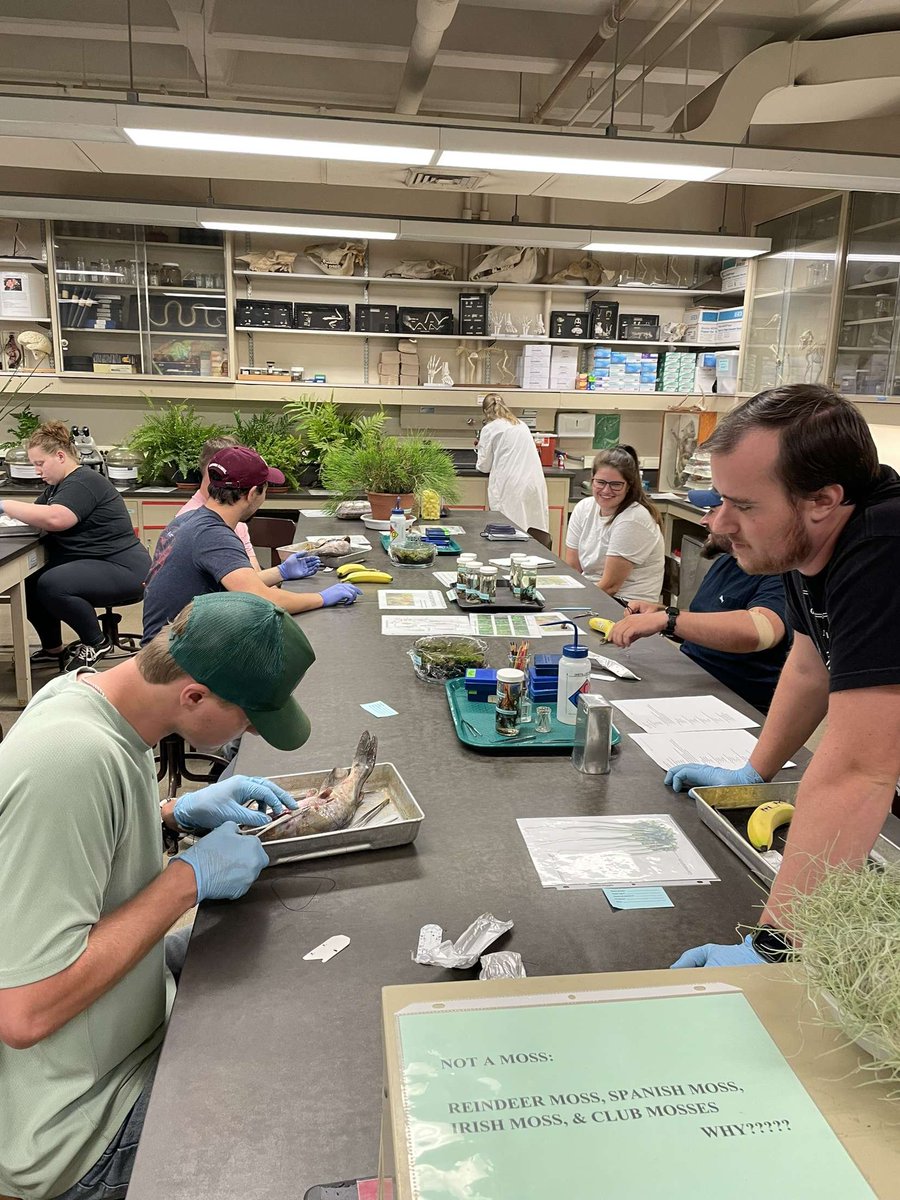 Tagging workshop was a success!