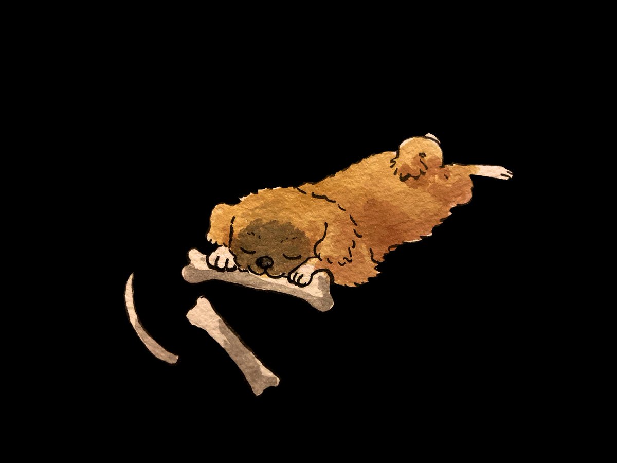 Meebob 🐕 Doggo Quest 🐕 (@meebob4) on Twitter photo 