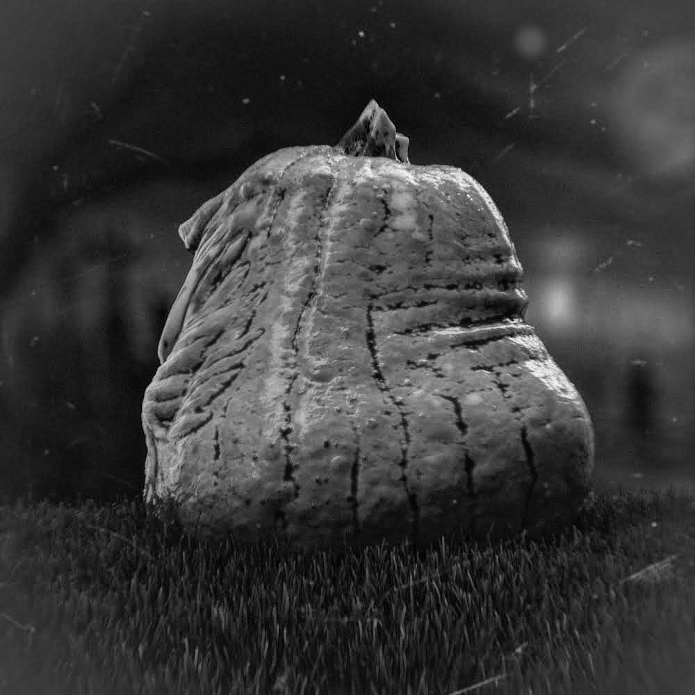 Adam Milicevic tweet media