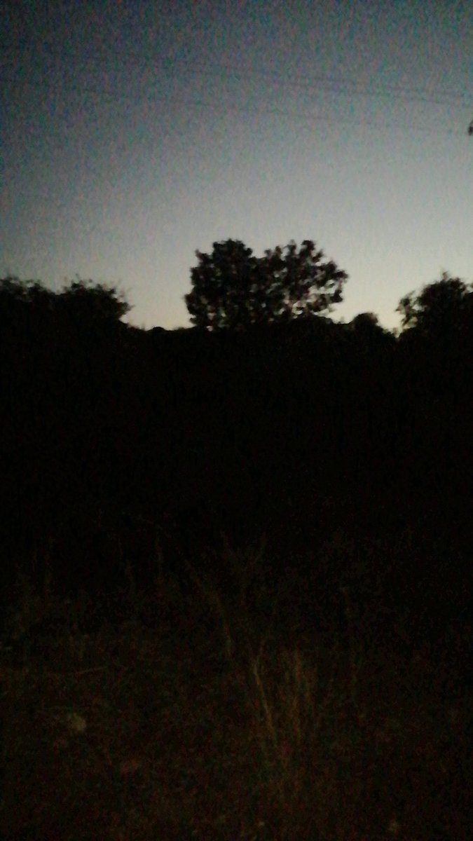 IgFC86's tweet photo. 😊❤️🌄🎥Feliz jueves 😊❤️🌄🎥#visualeffectssociety #visualeffectss #lovevideo #internetmarketing #photography #sunset #mountains #montañas #nightphotography #nightpics #senderismo #excursionismo #happythursday #felizjuevesatodos https://t.co/cudXsbA8Xd