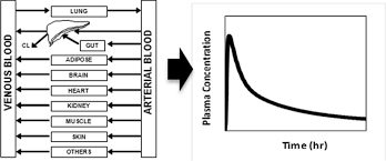 Pharmacokinetic parameters are the key to understanding how medications work in our bodies. From absorption to elimination, they guide effective treatment. 📊💊 Let's decode the science behind our medicines. 🧪🔬 #Pharmacokinetics #MedicationScience #Healthcare #DrugAbsorption