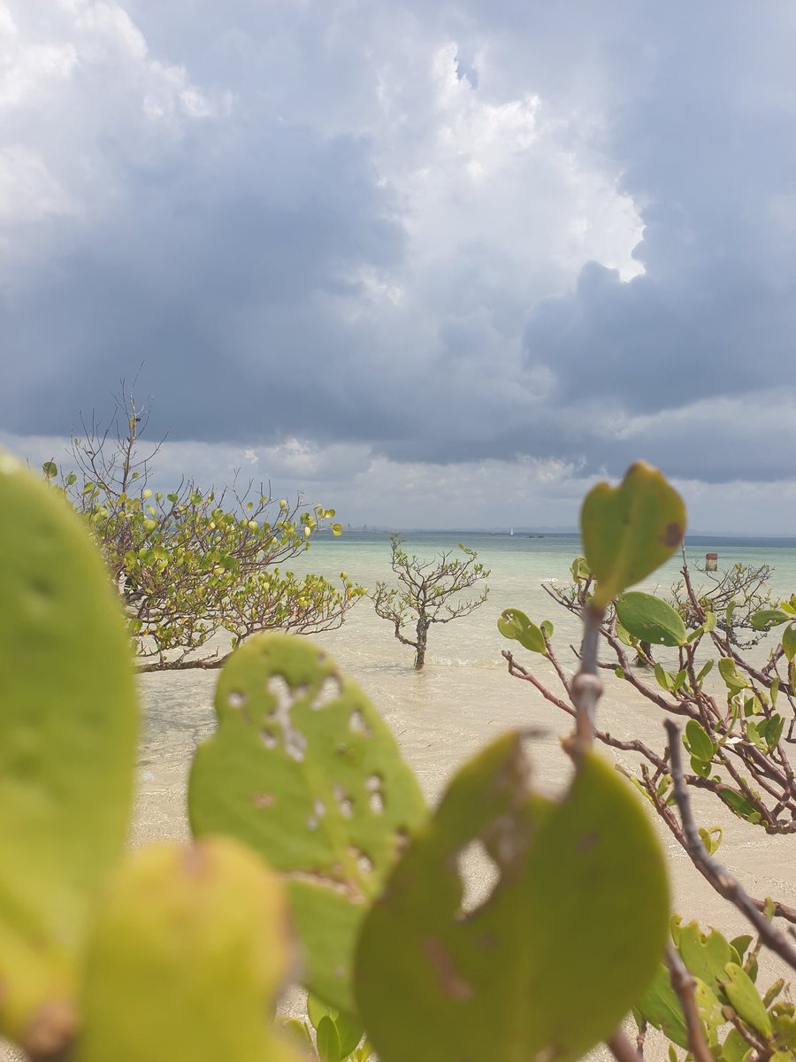 riradhan's tweet image. bisa kali di endorse buat S24 Ultra @samsungID
pics by #SamsungNote9