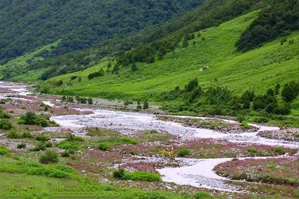 फूलों की घाटी राष्ट्रीय उद्यान🌼🌻🌿 (#ValleyofFlowers) भारत के उत्तराखण्ड राज्य के गढ़वाल क्षेत्र में है। यह विश्व संगठन, यूनेस्को द्वारा सन् 1982 में घोषित विश्व धरोहर स्थल, नन्दा देवी अभयारण्य, नन्दा देवी राष्ट्रीय उद्यान का एक भाग है।