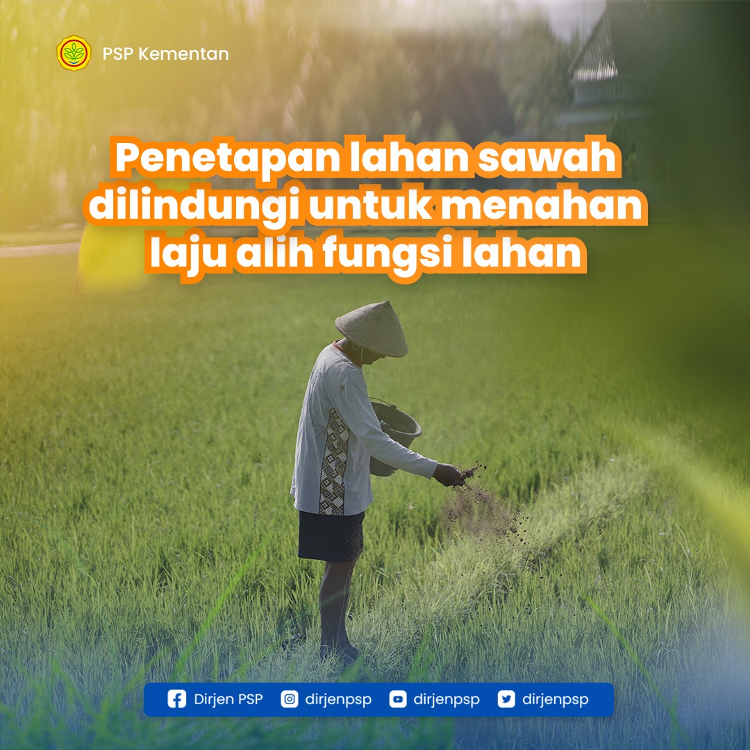 dirjenpsp's tweet photo. Penetapan lahan sawah dilindungi bertujuan untuk menjaga ketersediaan lahan sawah guna mendukung kebutuhan pangan nasional, mengendalikan alih fungsi lahan sawah yang semakin pesat, memberdayakan petani agar tidak mengalihfungsikan lahan sawah.
#kementan #ditjenpsp #pspkementan https://t.co/g6ARBhfxlX