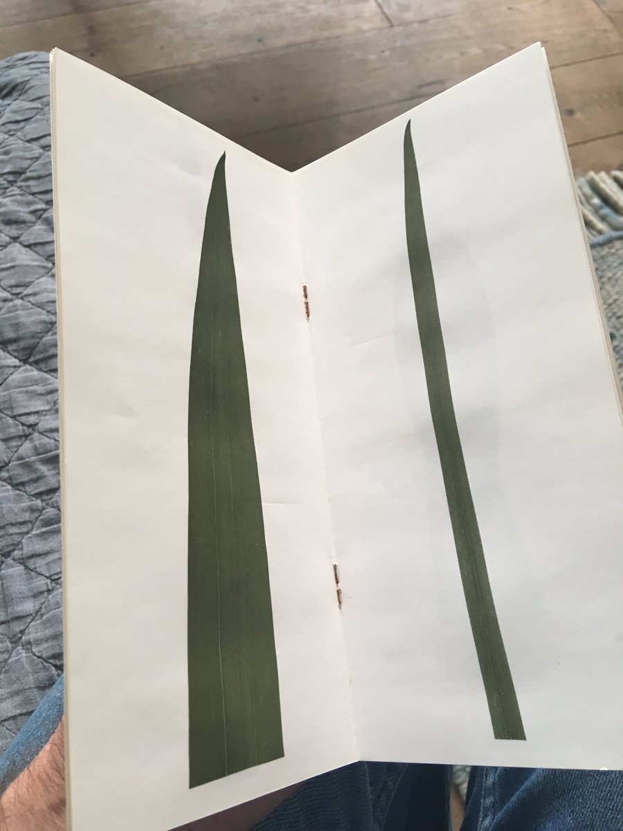 PeterFoolen's tweet photo. Richard Long, From Along a Riverbank, 1971, dried leaves on paper, collection @krollermuller.
Richard Long, From Around a Lake, 1973, Art &amp; Project, 1973, in my archive, from the former collection of Gerard Vermeulen. https://t.co/fEcnivmZ1G