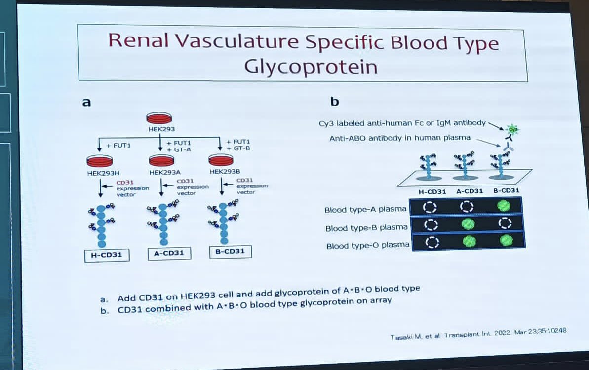 purvabavikar's tweet photo. Kicked off Day 1 #workshop with Dr. Kazunari Tanabe's new #ABOi page. ✴️No reduction in Anti-A and Anti-B after ABOiKT
⭐️Antibody titers measured by RBC reveal varying levels with artificial antigens on array.
🧪 What's the immunological reaction in ABOi renal grafts? #ISOT2023 https://t.co/FoDs9t78nW