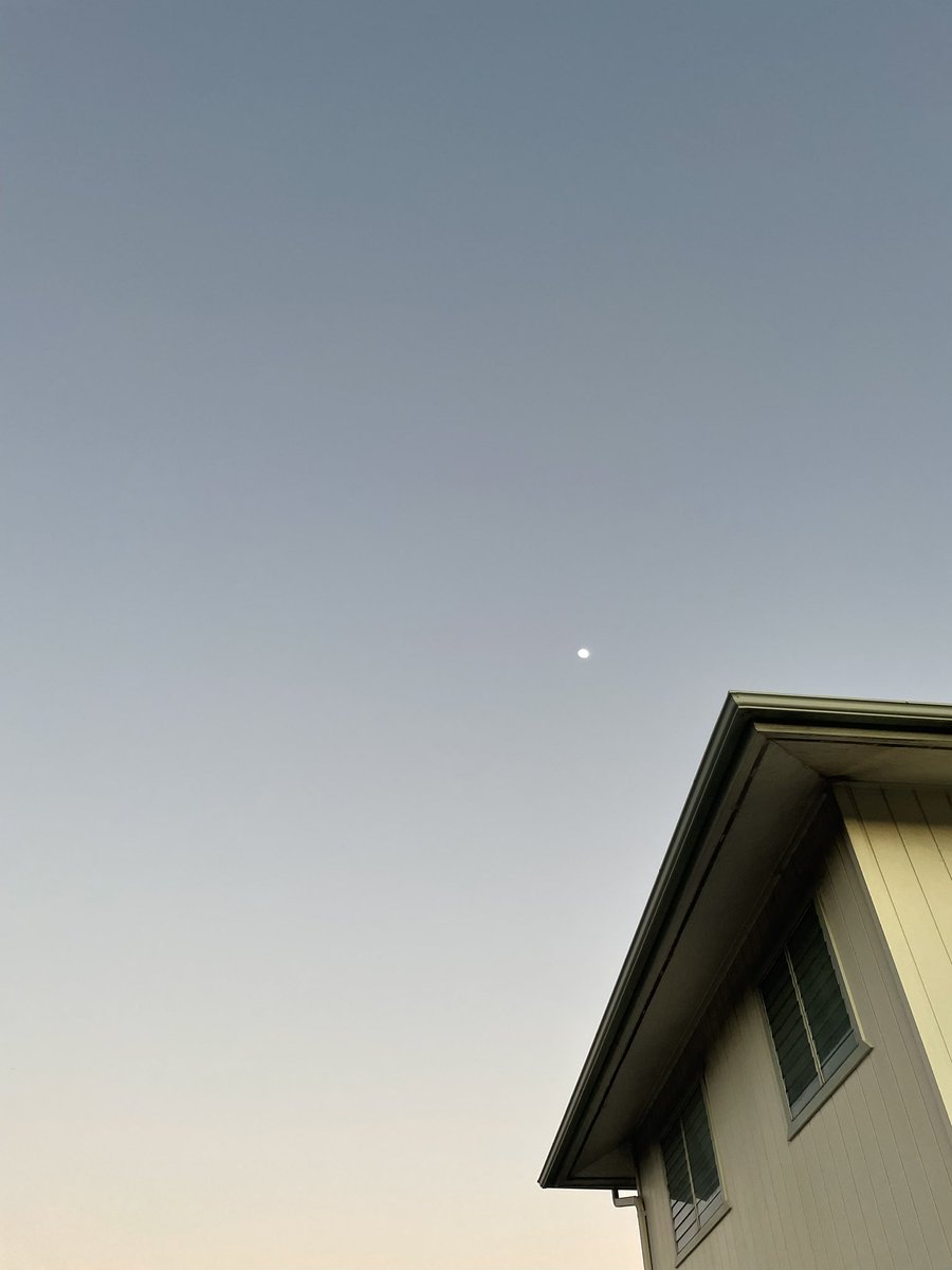 STAR TAMER tweet media