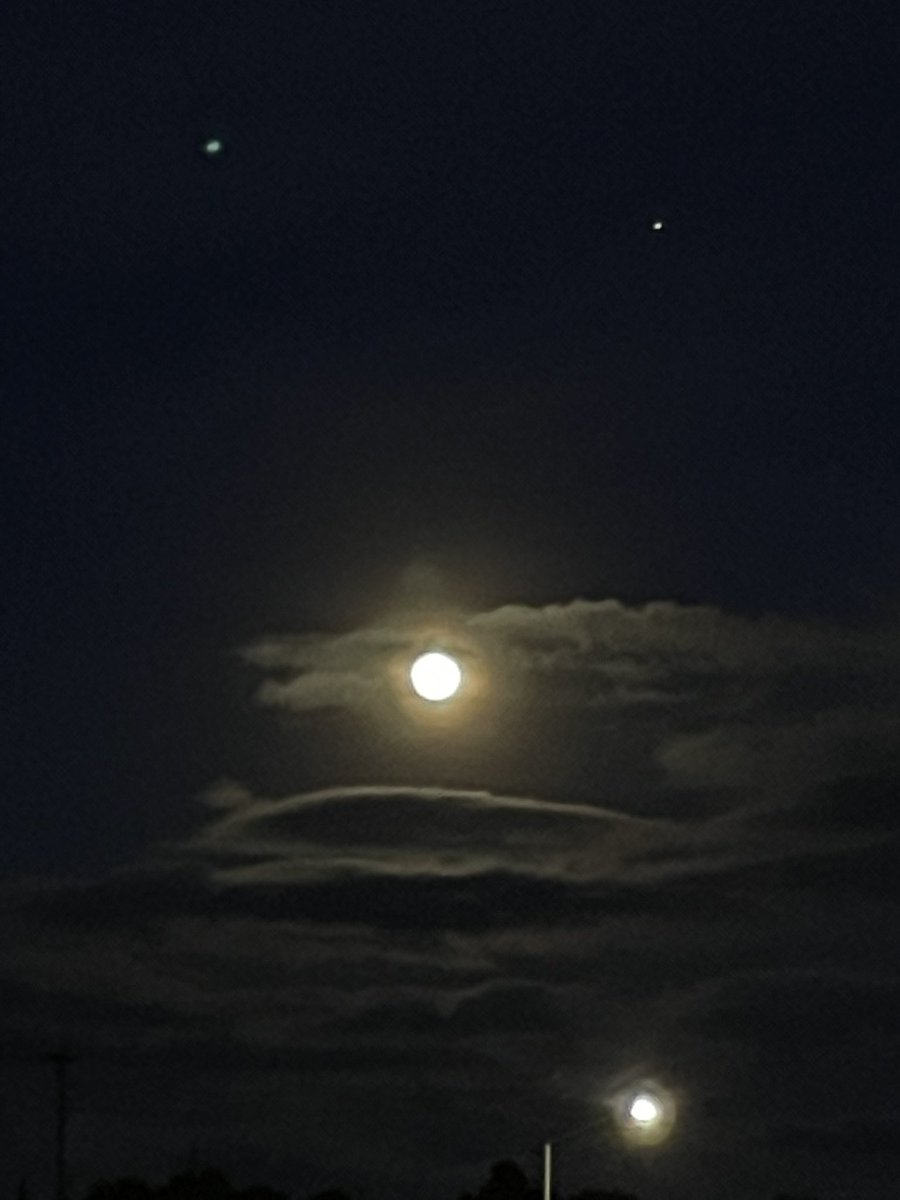 STAR TAMER tweet media