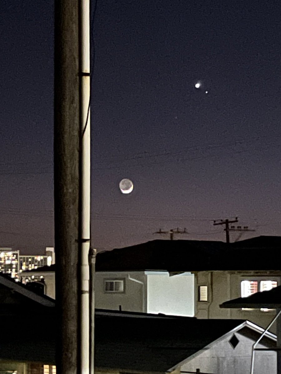 STAR TAMER tweet media