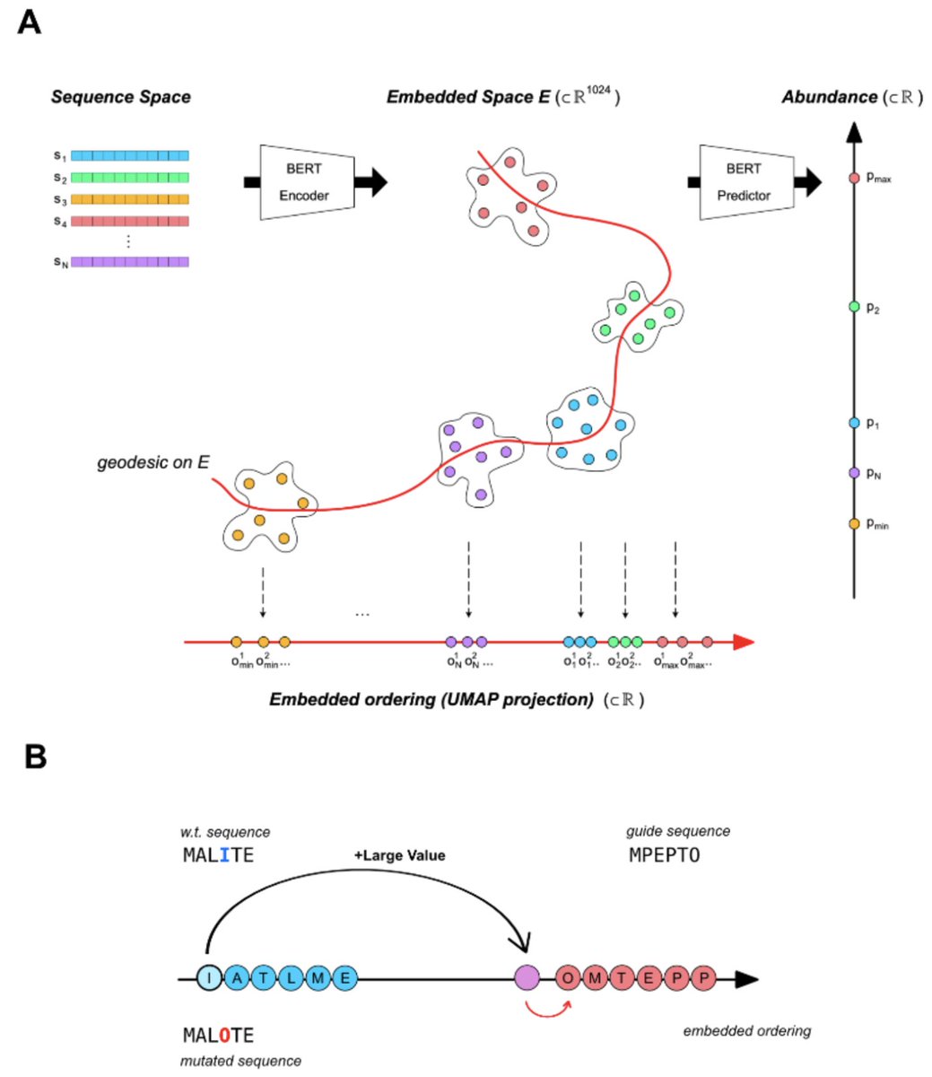 “The amino acid sequence determines protein abundance through its conformational stability and reduced synthesis cost.” 

Protein abundance caused by “amino acid arrangement in the sequence and not merely amino acid composition”

biorxiv.org/content/10.110…
github.com/fburic/protein…