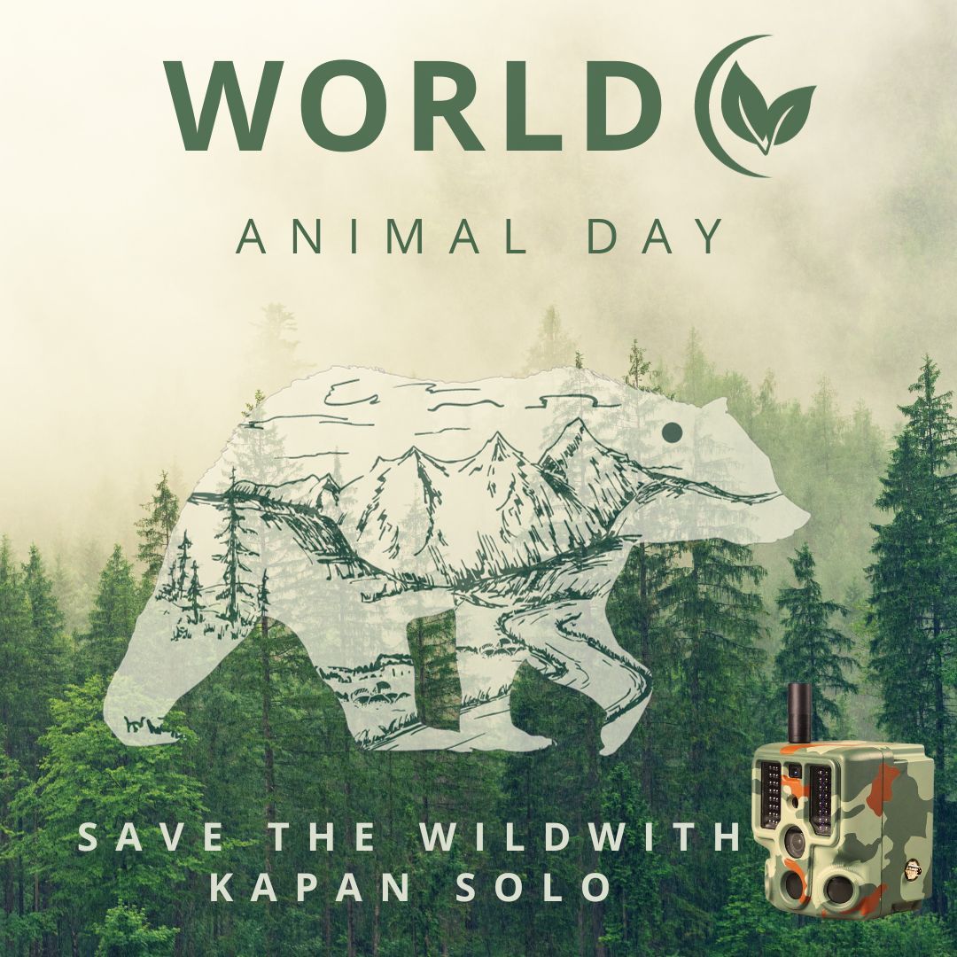 RobotEye tweet media