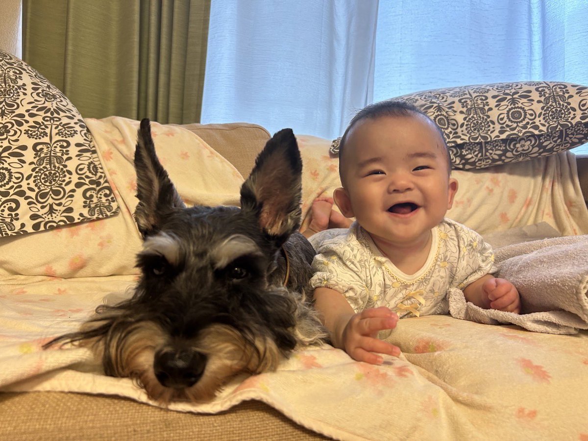Alex_CandF's tweet photo. 仲良しです🤭 https://t.co/ChFBkt3TRR