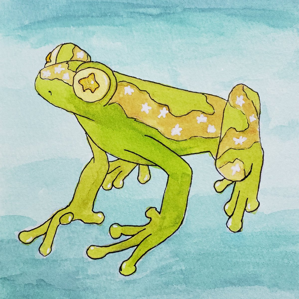 sirithre's tweet photo. Today's #MetaTober features the #FroggyFall prompt list by @munespice, with the prompt 'Star'.
So I drew a starry-eyed frog of some sort. Idk.
You can't really tell in photos, but the gold ribbon and eye-stars are a metallic gold color. So that's fun. https://t.co/6iVgSxa6bn