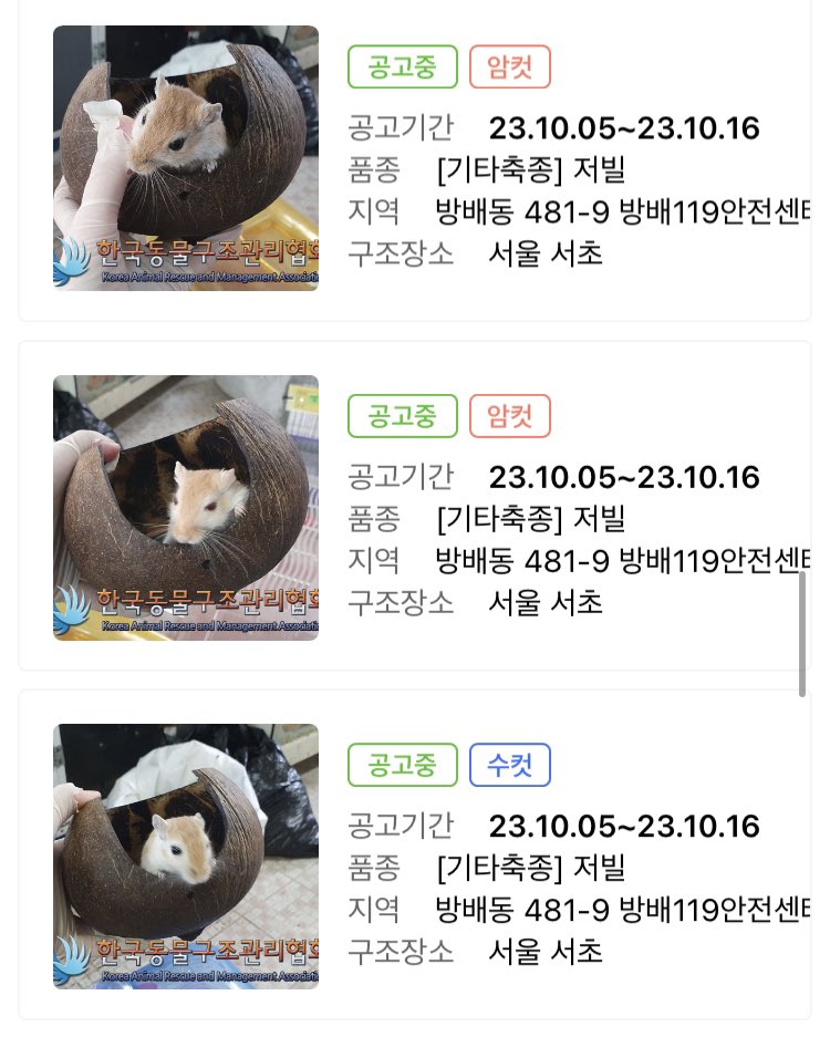 Sev1006's tweet photo. 저빌 집단유기 공고가 올라왔어요…
공고상으로 수컷 12마리 암컷 8마리 입니다.
양주 한국동구협 https://t.co/ckIcwbhsTG