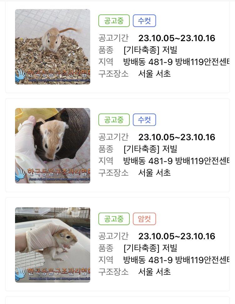 Sev1006's tweet photo. 저빌 집단유기 공고가 올라왔어요…
공고상으로 수컷 12마리 암컷 8마리 입니다.
양주 한국동구협 https://t.co/ckIcwbhsTG