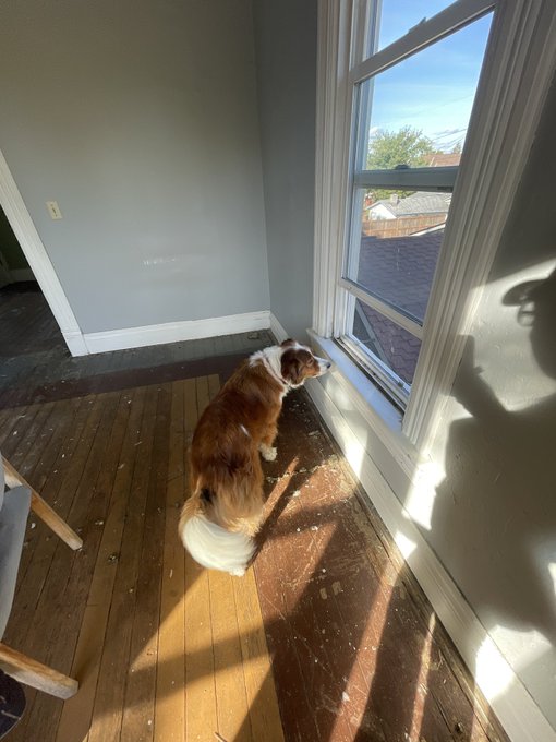 I don&rsquo;t have any pretty renovation pictures from work today because everything currently looks awful