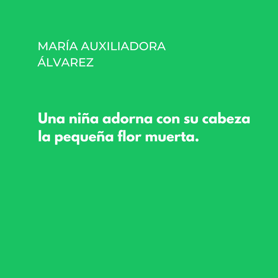 Del poema 'Adorno', de María Auxiliadora Álvarez. Apareix a Las nadas y sus noches, editat per @EdCandaya el 2009.

#poesia #donespoetes #poesiaencastellano #mujerespoetas  #poesialatinoamericana #maríaauxiliadoraálvarez #poesíavenezolana #poetasvenezolanos #poetasvenezolanas