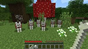 Terminator tweet media