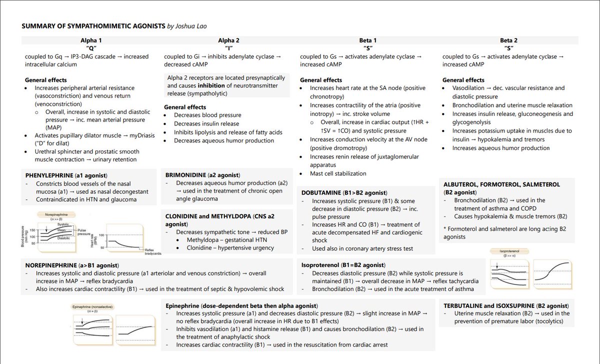 A summary of sympathomimetic agents I made for those reviewing for the boards because it was my day off and I needed some review myself

*included only some general details and not intended to be exhaustive