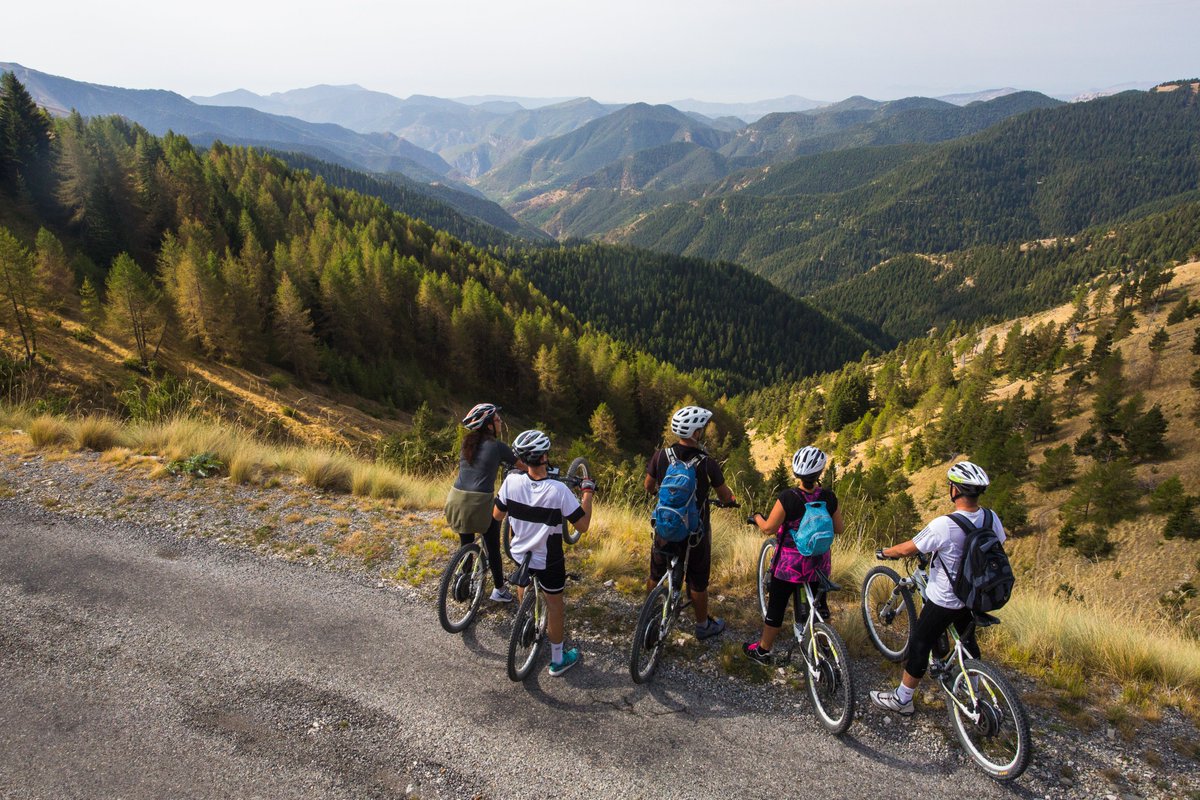 PITER ALPIMED tweet media