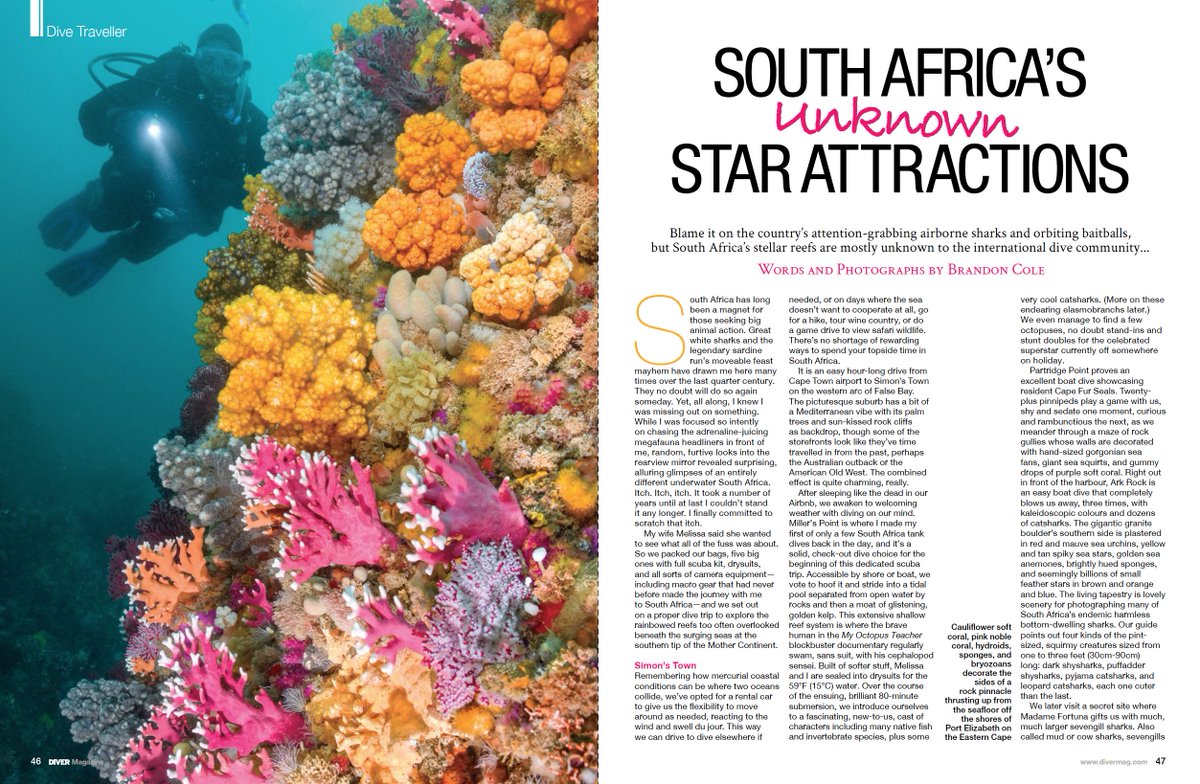 divermag's tweet photo. South Africa Unknown Star Attraction
Images and Words by Brandon Cole
The digital version is free https://t.co/5fVXA28hax https://t.co/yC24XFx06o