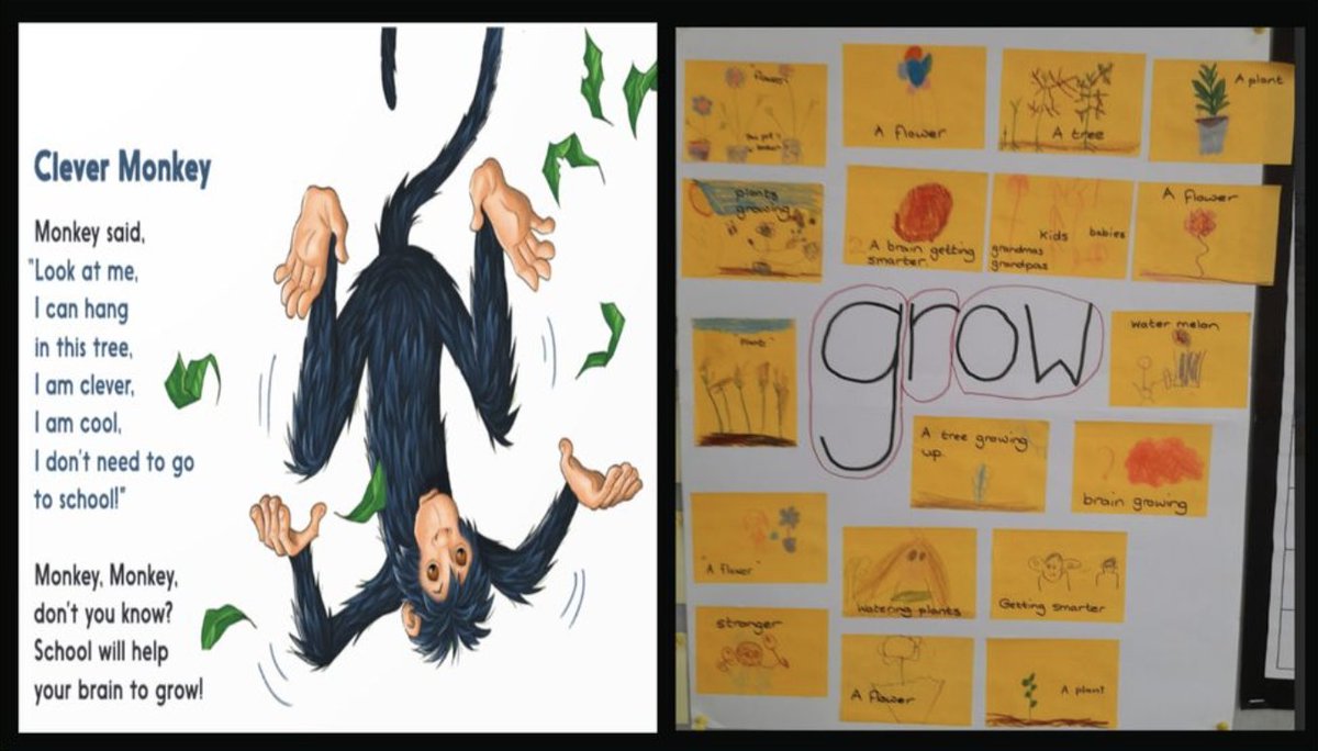 The Clever Monkey gave us the perfect opportunity to explore the 'concept' of #growth. What does it mean? and do our brains grow? #growthmindset