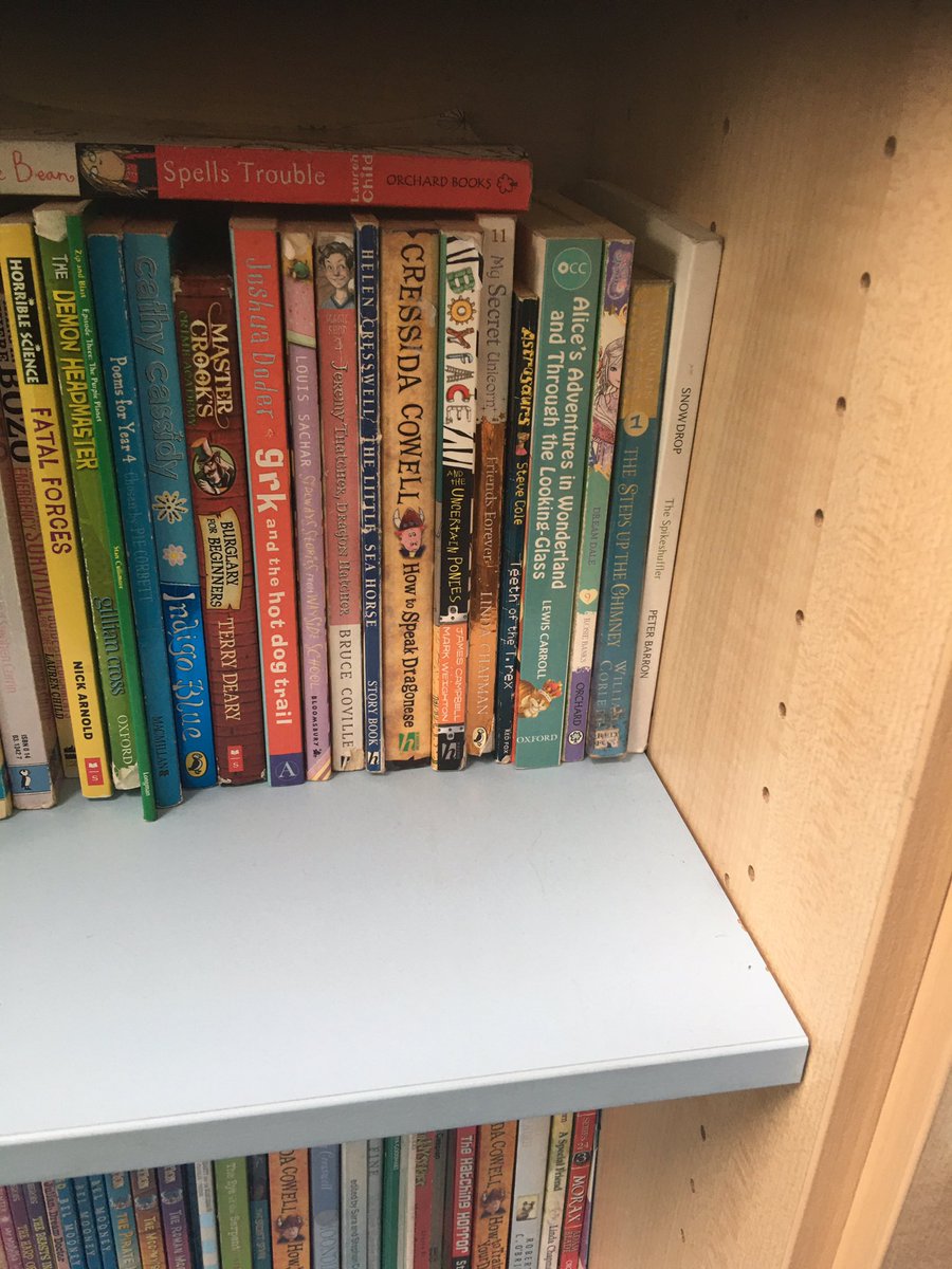 The library at Oulton Broad Primary has some excellent stock.
