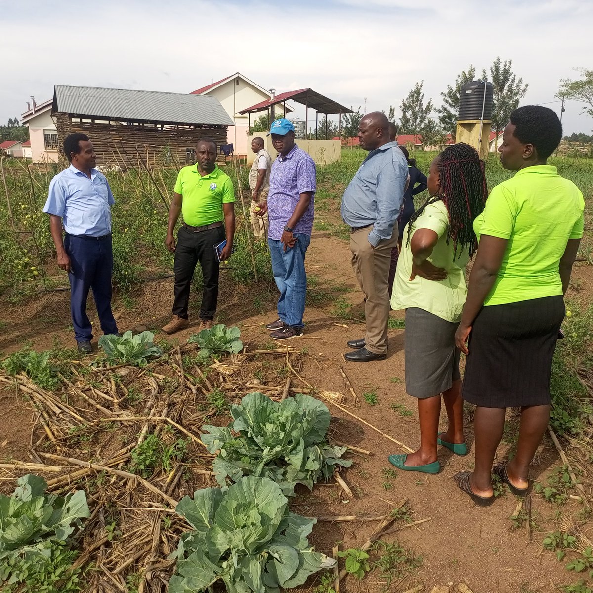 RWEBITABA ZARDI tweet media