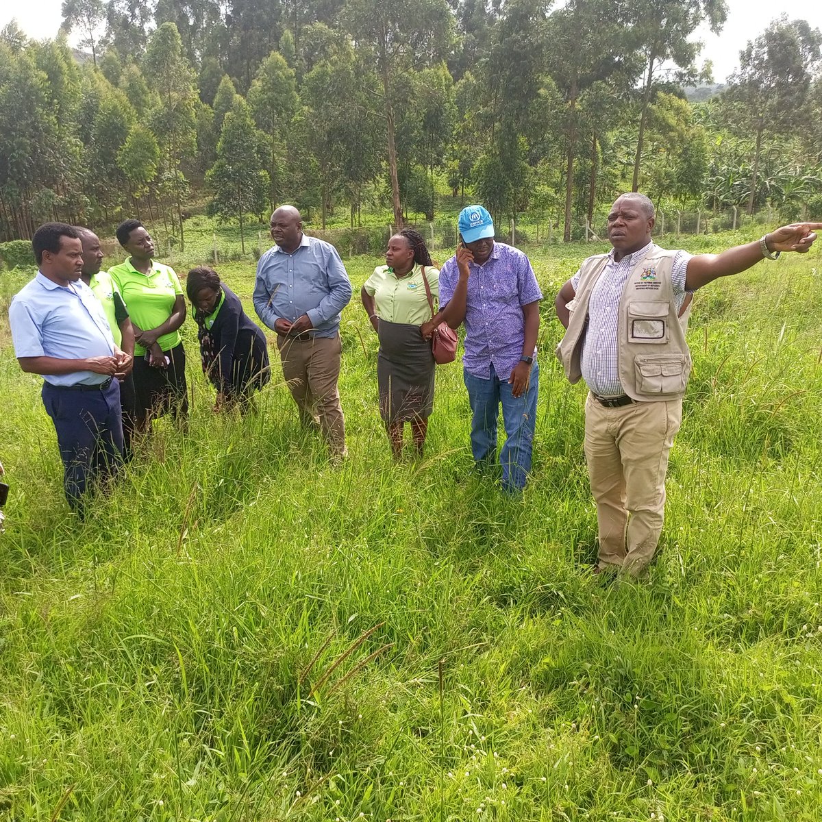 RWEBITABA ZARDI tweet media