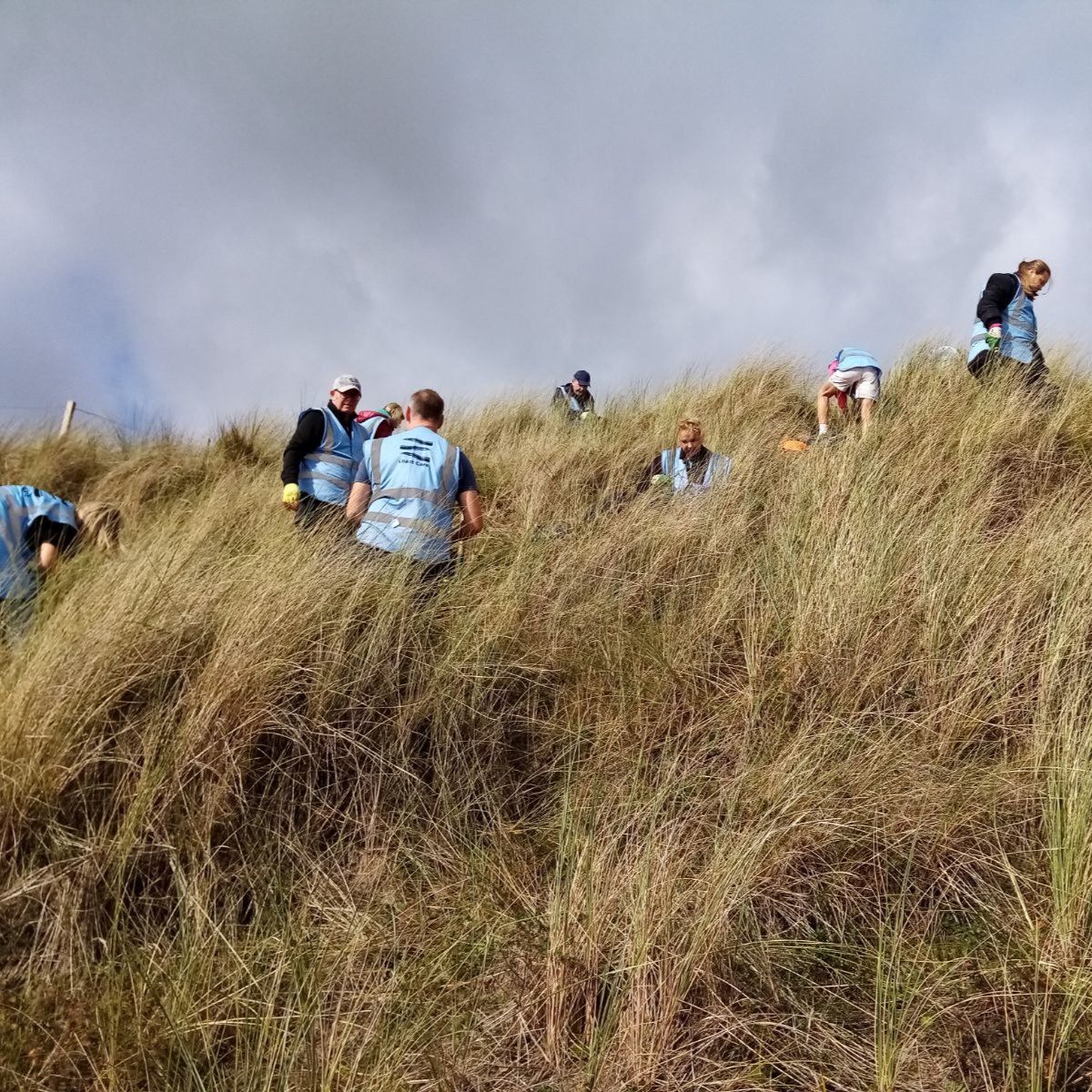 A wonderful day's work from the Wealth Management from St James' Place! They worked with volunteers Chris, Jo and Rob to help tackle Pirri Pirri burr in the dunes and pick up litter from the beach. #conservation #aonb #northumberlandcoast #volunteer #marinelife