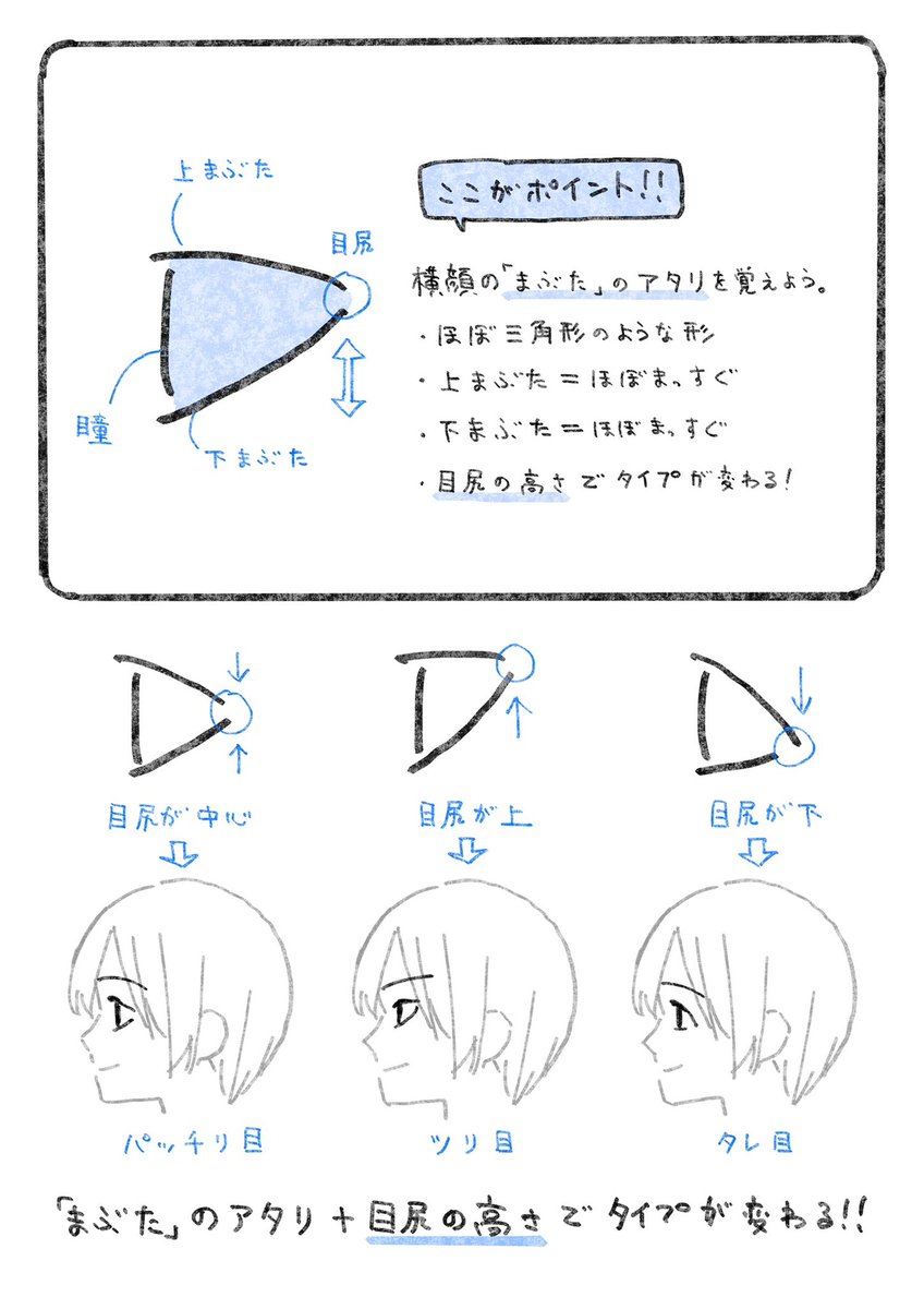 TIPS【横顔の目】
顔の向きを変えて描くと正面絵の時より違和感がある方!
目のカタチに注目してみて下さい 