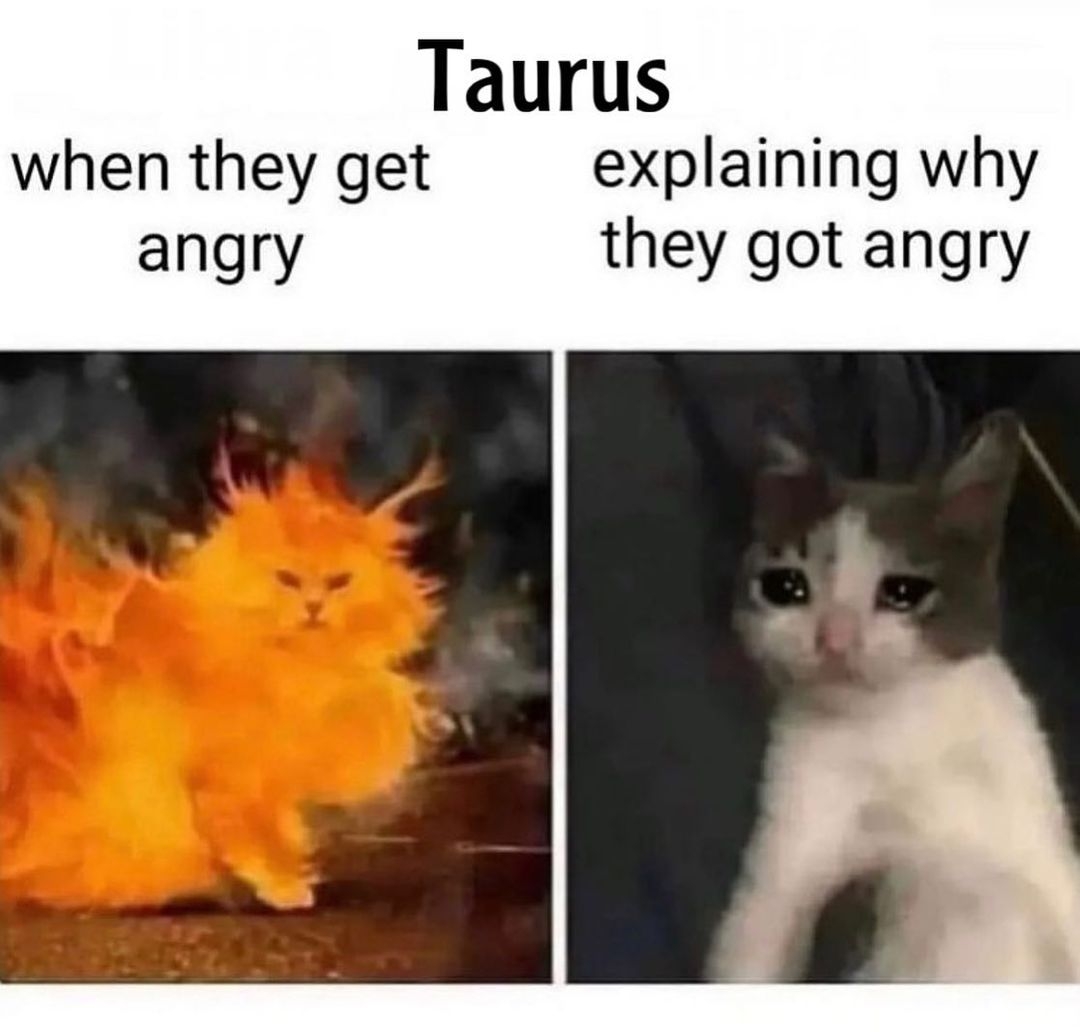 TaurusWorld_'s tweet photo. #Taurus Life https://t.co/ighv5QzCT2