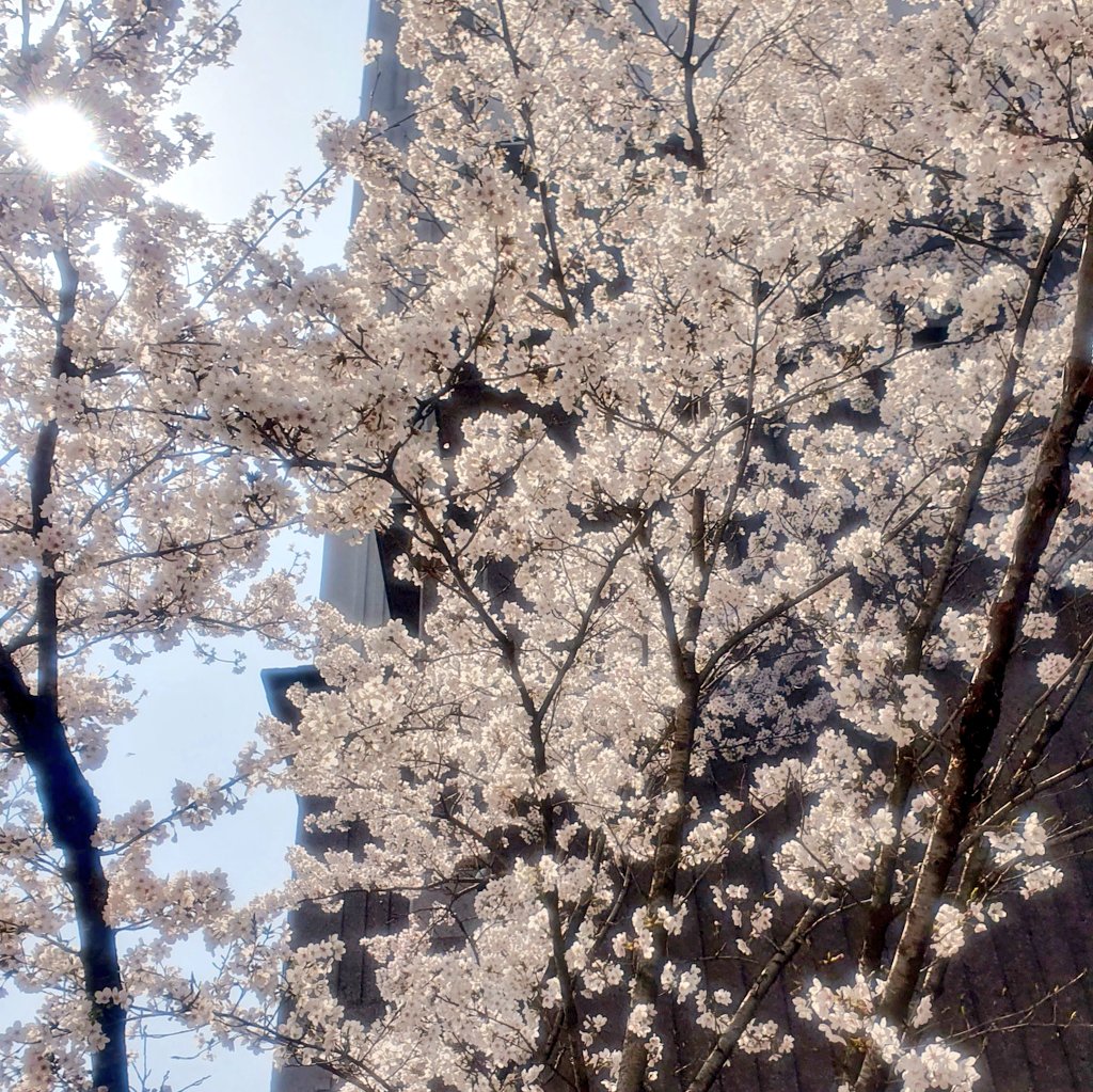 HakLeee's tweet photo. @SuperWalk_ #bnb #SuperWalk_
봄 따듯하게 SuperWalk🌸
여름 뜨겁게 SuperWalk☀️
가을 시원하게 SuperWalk🍂
겨울 춥게 SuperWalk❄️ https://t.co/9dzOO6EfJc
