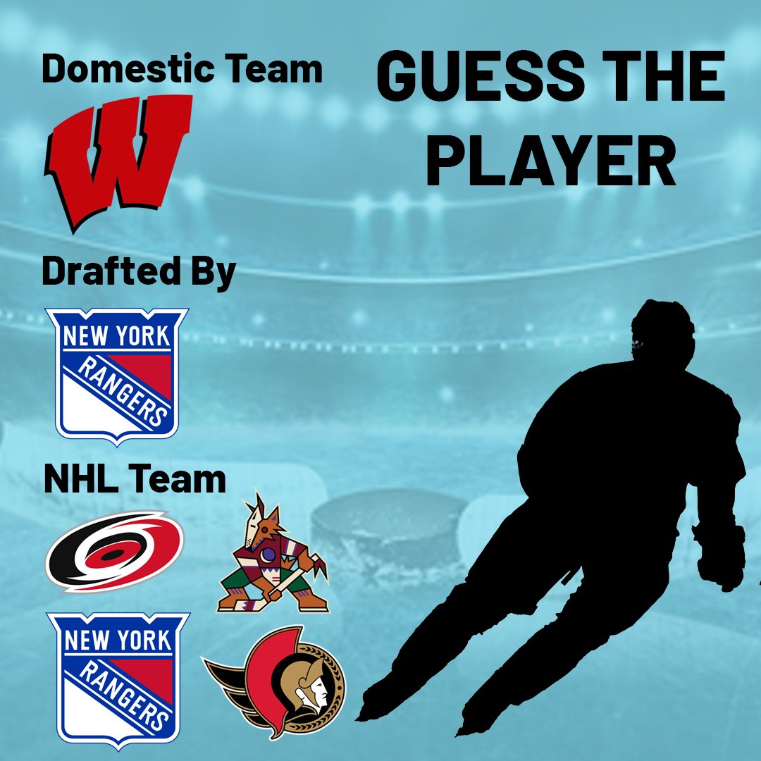 Can you guess the player? #worldhockeymanager #guesstheplayer