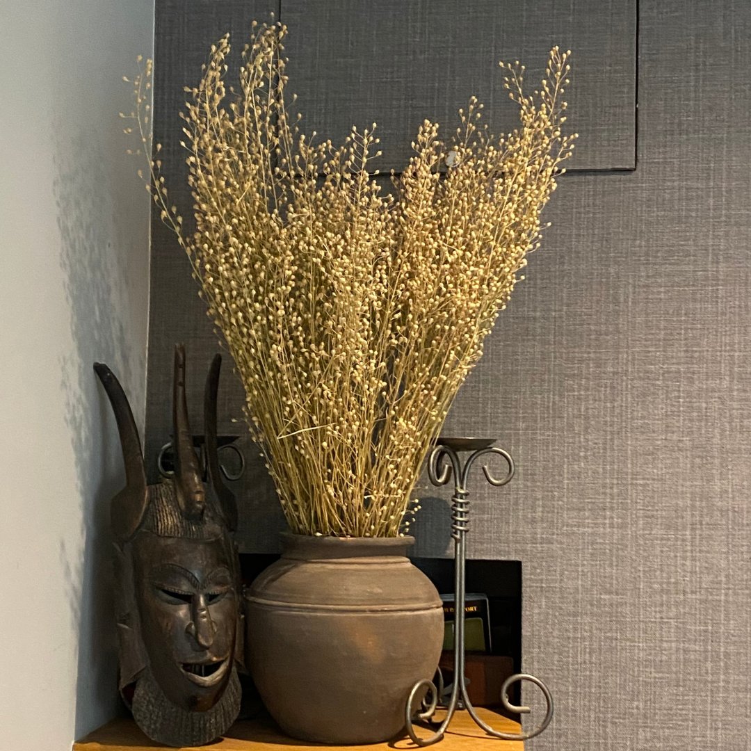 TModernGrandma's tweet photo. Dried grasses make pretty autumnal arrangements :-)

#autumn #cosyvibes https://t.co/qQ6U0qjhnu