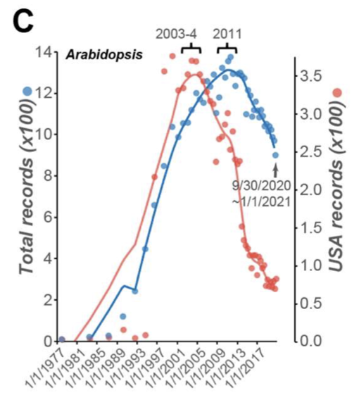 A preprint full of interesting/fun statistics, including the rise (and fall) of Arabidopsis research (in the U.S.A., elsewhere tracking?), at least in quantity. Which fringe topic are you working on? biorxiv.org/content/10.110…