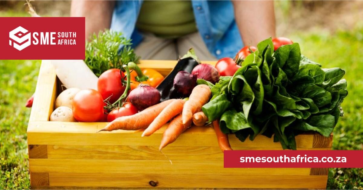 SMESouthAfrica's tweet image. How to get into vegetable farming. &amp;gt;&amp;gt;&amp;gt; bit.ly/3LQpnzd #vegetablefarming #vegetablefarm #farmingbusinessidea
