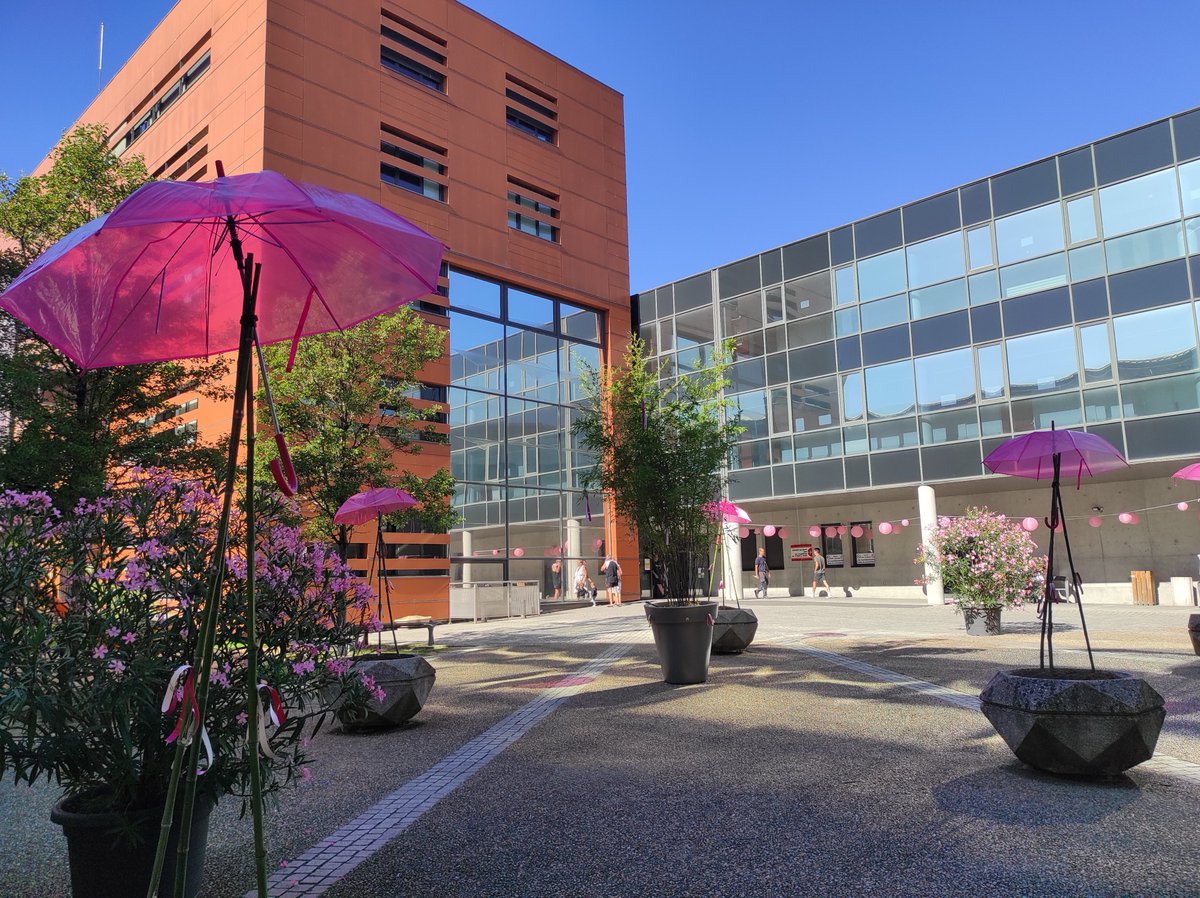 CHU de Limoges tweet media