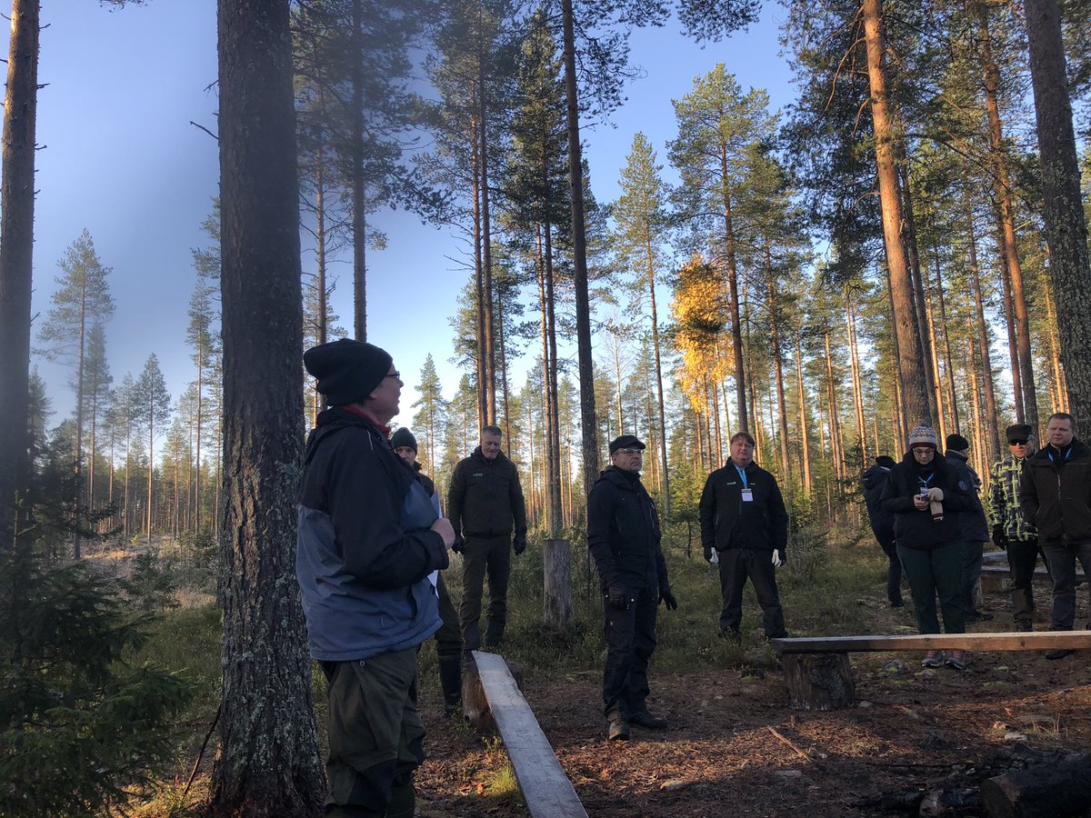 Visit to a CCF test site in Rovaniemi arranged by Barents Euro-Artic Council (BEAC). @UmeaPlantSci @_SLU @Skogforsk @Skogsstyrelsen @LukeFinlandInt