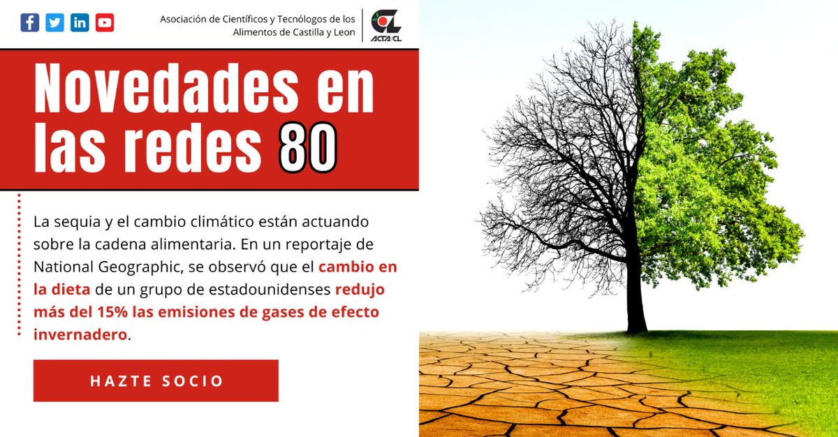 ¿Nuestra dieta puede reducir el cambio climático?

En un repotarje de National Geographic, se observó algo fascinante. Cambió sus patrones dietéticos para una experiencia y el resultado fue la reducción de más del 15% de sus emisiones de gases de efecto invernadero.