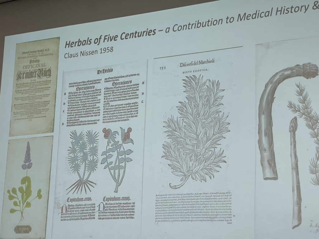 emmanix's tweet photo. #GrowingNetworks project led by Jane Munro & Hettie Ward @FitzMuseum_UK is an inspiring gathering of curators of botanical art on paper. Funded by @GettyFoundation a pleasure to contribute to a 2 day symposium @TheBotanics #botanicalart #plantscience #BehindTheScenes https://t.co/xDOG5Awf7c
