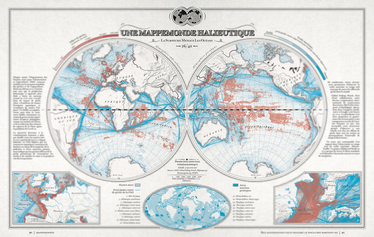 Xemartin Laborde tweet media