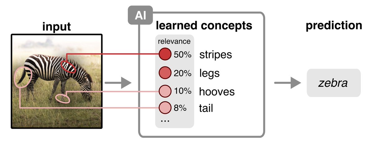 Fraunhofer HHI (@fraunhoferhhi) on Twitter photo Do you know how AI reaches its decisions?
Together with <a href="/bifoldberlin/">BIFOLD</a> at @TUberlin, our scientists around Prof. <a href="/WojciechSamek/">Wojciech Samek</a> & Dr. <a href="/SLapuschkin/">Sebastian Lapuschkin</a> present Concept Relevance Propagation (#CRP), a new method to make #AI explainable.
Find their paper here: doi.org/10.1038/s42256… Do you know how AI reaches its decisions?
Together with <a href="/bifoldberlin/">BIFOLD</a> at @TUberlin, our scientists around Prof. <a href="/WojciechSamek/">Wojciech Samek</a> & Dr. <a href="/SLapuschkin/">Sebastian Lapuschkin</a> present Concept Relevance Propagation (#CRP), a new method to make #AI explainable.
Find their paper here: doi.org/10.1038/s42256…