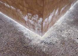 Queremos recordar algo...

El #azufre es una sustancia que en contra de lo que se cree no evita que los perros🐶 orinen en tu calle

Además es tóxico para #animales y #personas ❌

#WeLoveAnimals