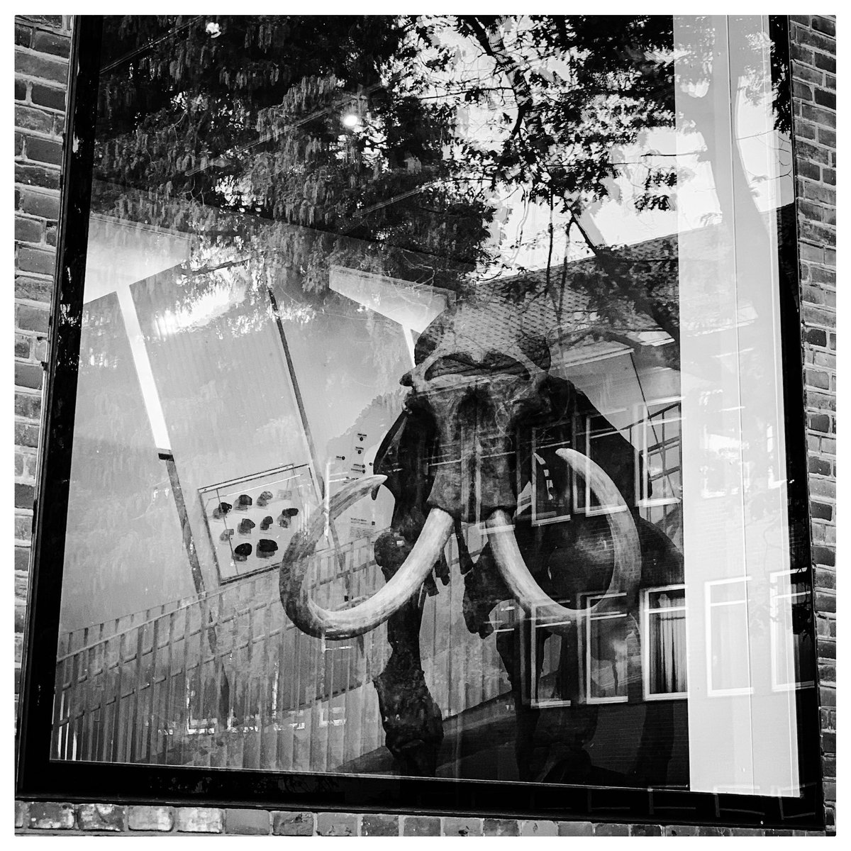 Guten Morgen, Münster! Heute gehts um die Verantwortung für das kulturelle Erbe #ZugangGestalten 👉 zugang-gestalten.org